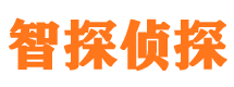 武宣市婚外情调查